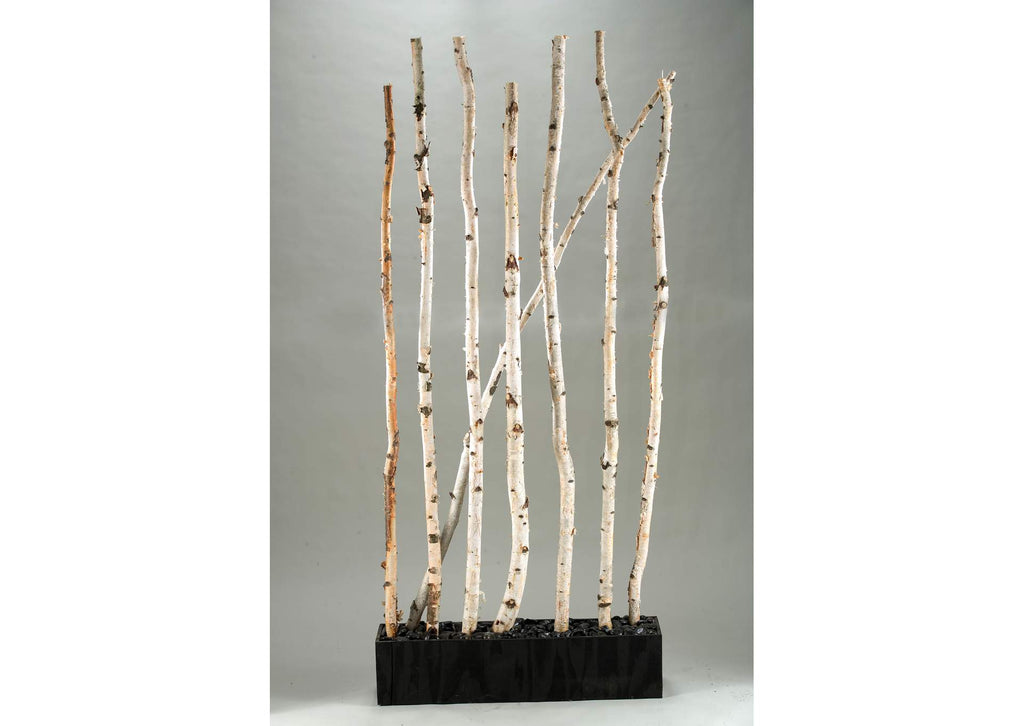 111539 7' Birch Screen in Rectangle Planter