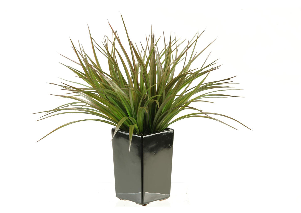 137014 Brown - Green Grass in Square Black Ceramic Planter