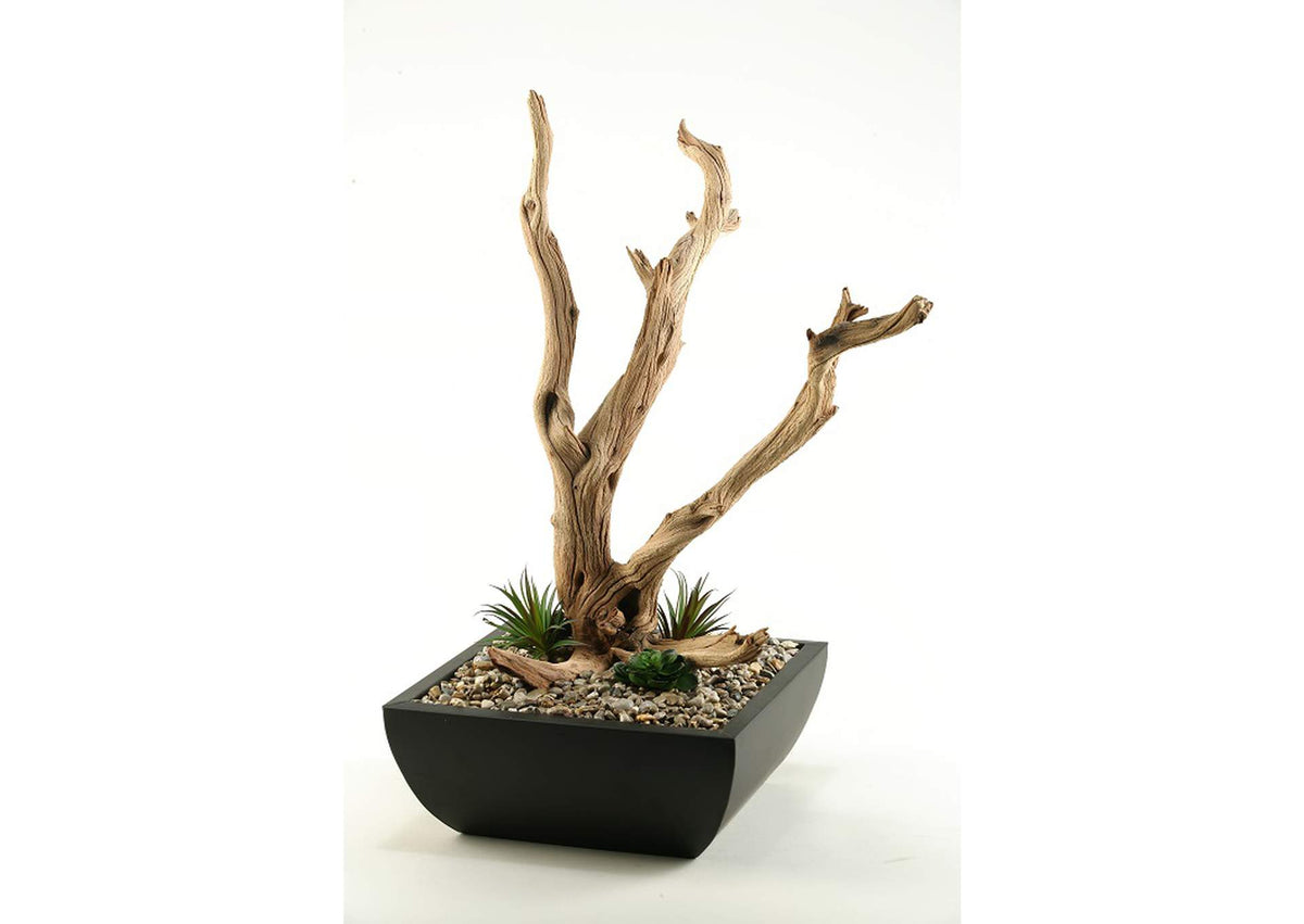 154186 Ghostwood Branches in Square Metal Planter