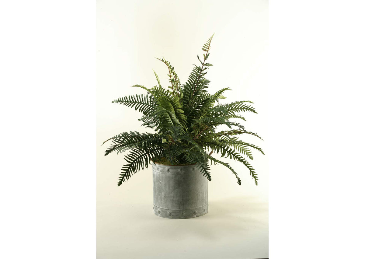 164004 River Fern in Round Metal Garden Planter With Handles