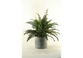 164004 River Fern in Round Metal Garden Planter With Handles