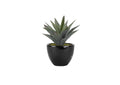 175123 Large Aloe Plant in Round Ceramic Planter