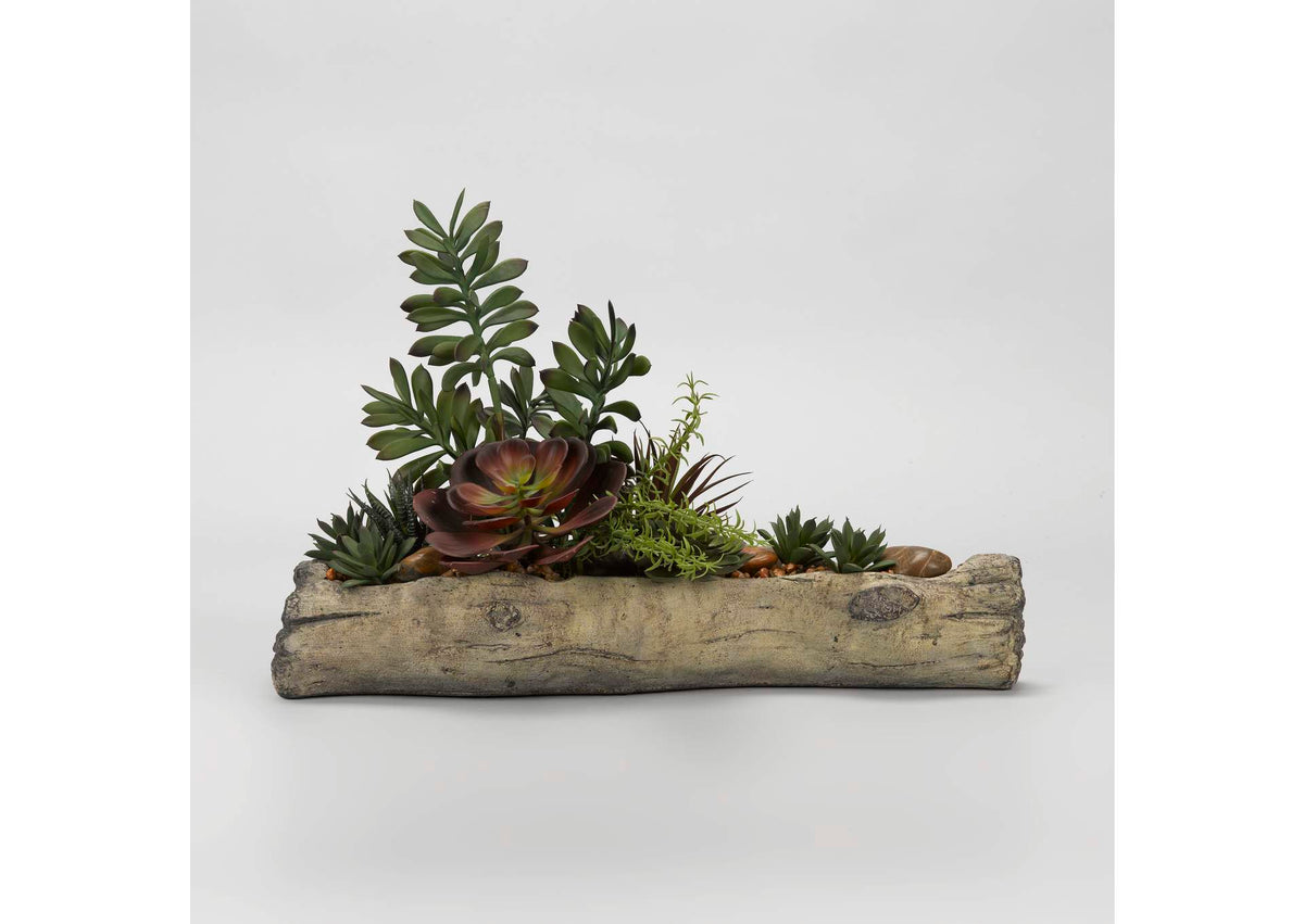 179024 Assorted Succulents On Cement Log