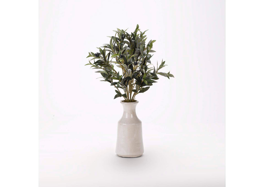 179032 Olive Spray in White Ceramic Bottle With Tall Neck