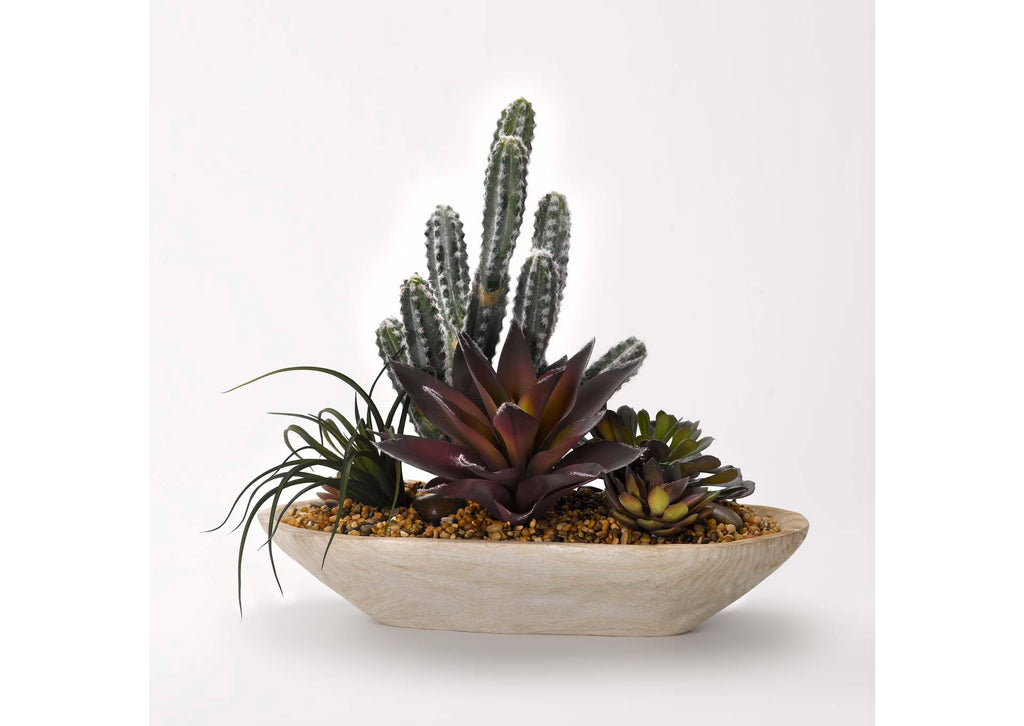 184062 Cactus and Assorted Succulents in Wooden Bowl