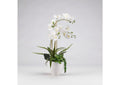 189048 White Orchids in White Ceramic Bowl