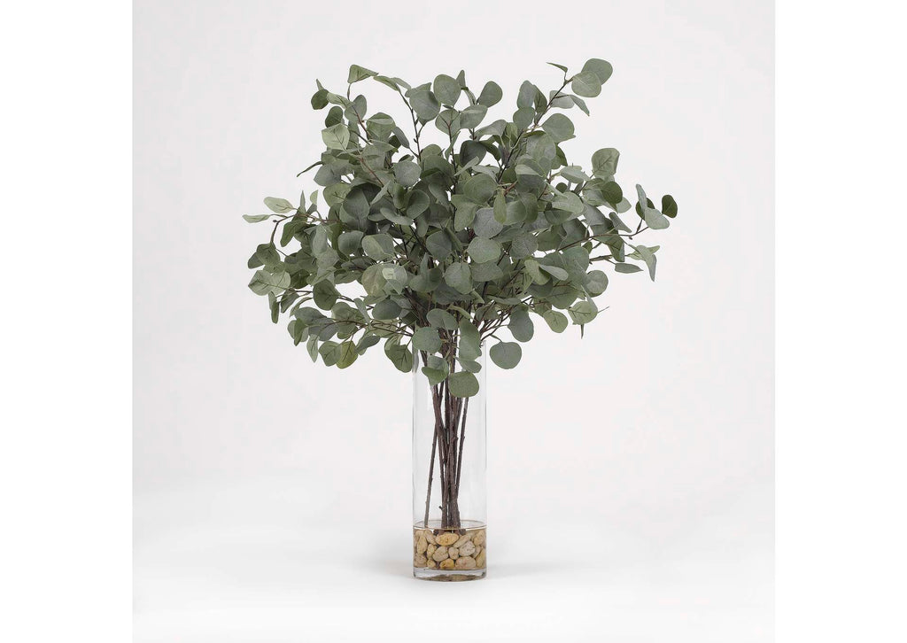 189068 Silver Dollar Eucalyptus in Glass Cylinder