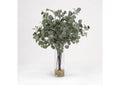 189068 Silver Dollar Eucalyptus in Glass Cylinder