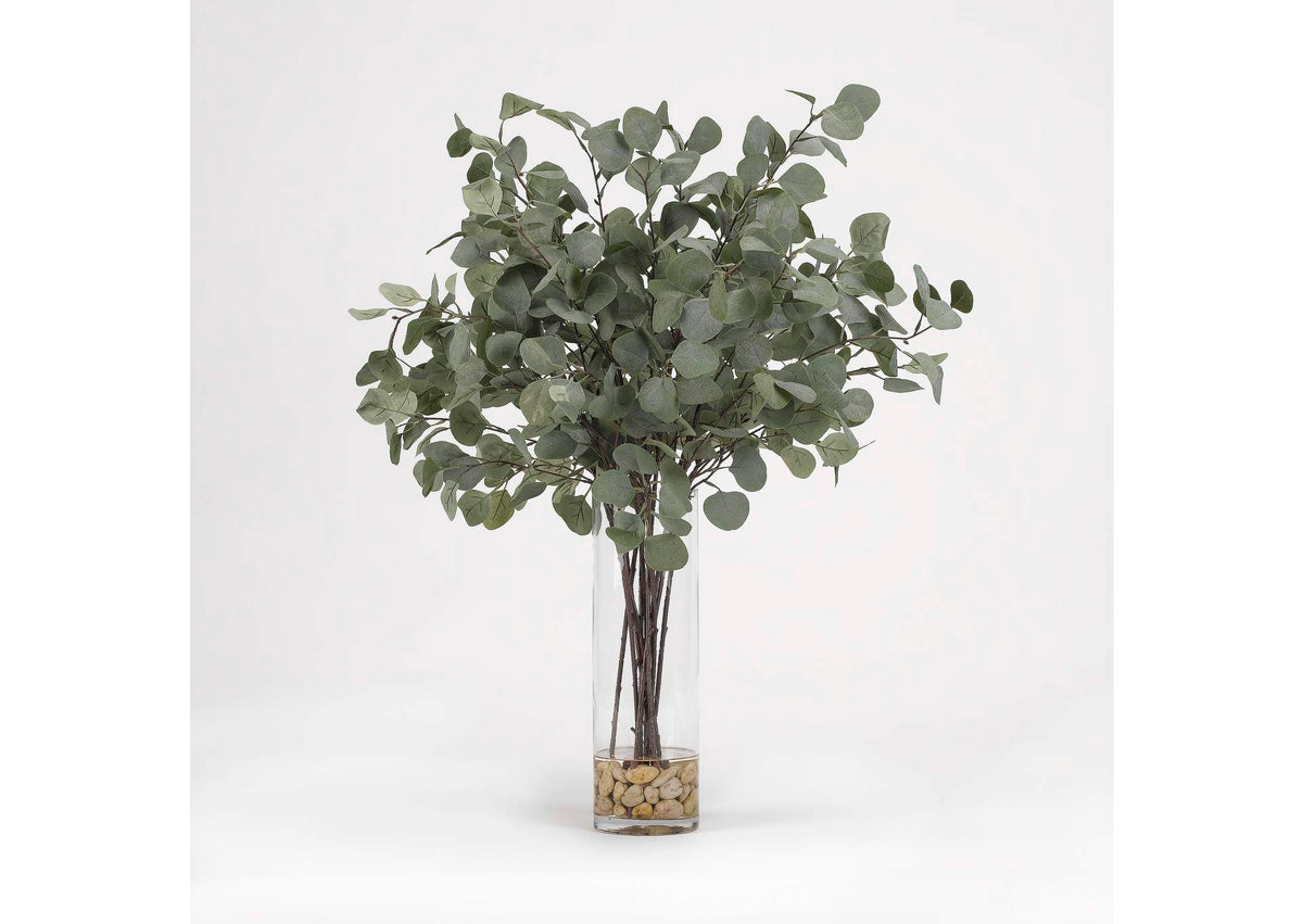 189068 Silver Dollar Eucalyptus in Glass Cylinder