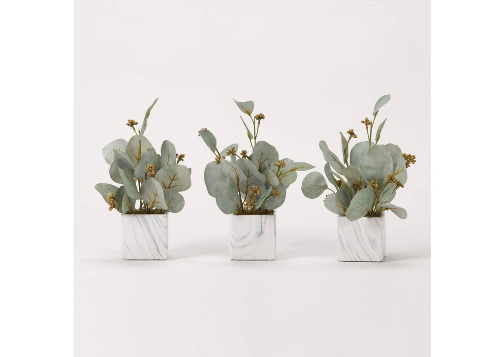 191011 Seeded Eucalyptus Branches in Marbled Ceramic Cube - Set of 3