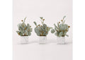 191011 Seeded Eucalyptus Branches in Marbled Ceramic Cube - Set of 3