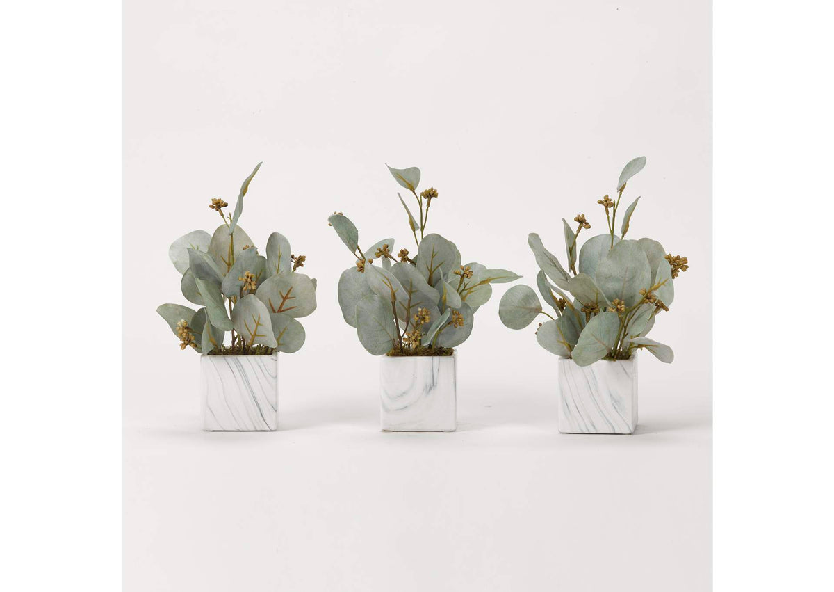 191011 Seeded Eucalyptus Branches in Marbled Ceramic Cube - Set of 3