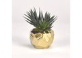 191066 Mini Aloe Plants in Gold Ceramic Planter