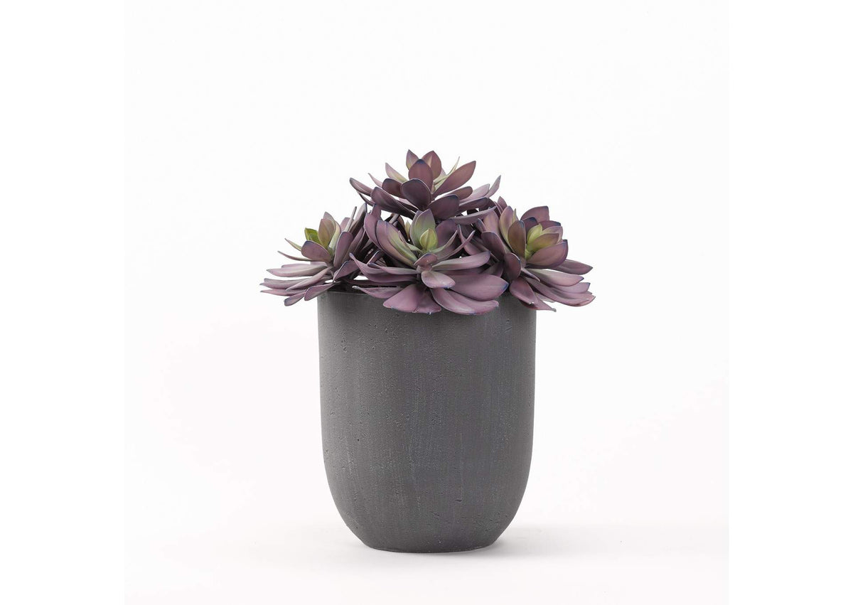 194013 Extra Large Frosted Echeveria in Round Grey Resin Planter