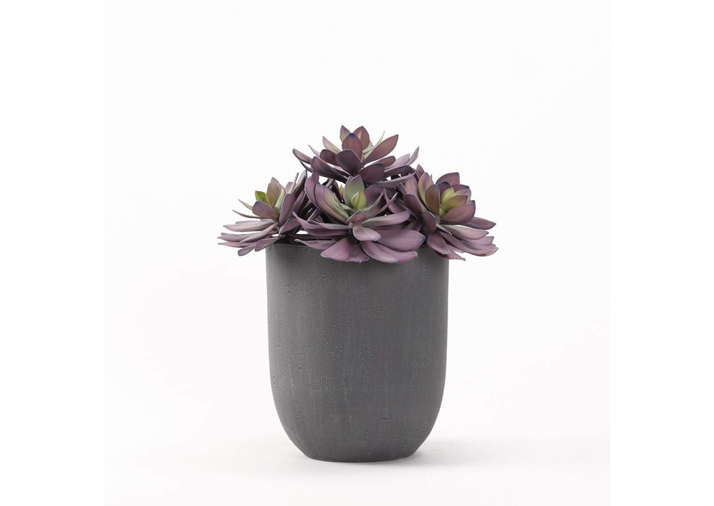 194013 Extra Large Frosted Echeveria in Round Grey Resin Planter