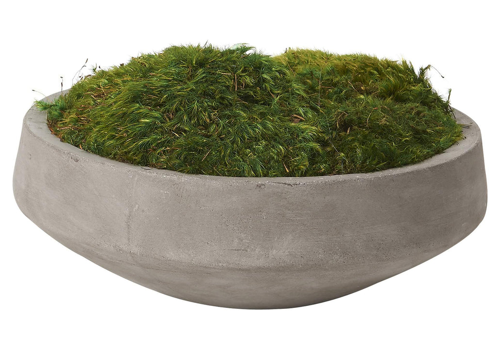 197025 Preserved Mood Moss in Cement Bowl