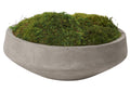 197025 Preserved Mood Moss in Cement Bowl