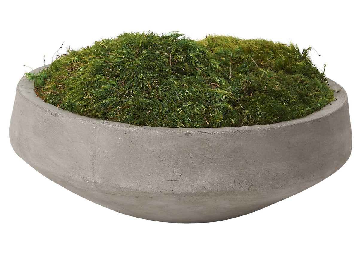197025 Preserved Mood Moss in Cement Bowl