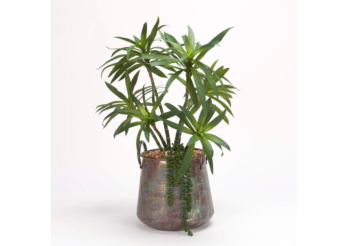199015 Yucca Plant in Aged Copper Pot