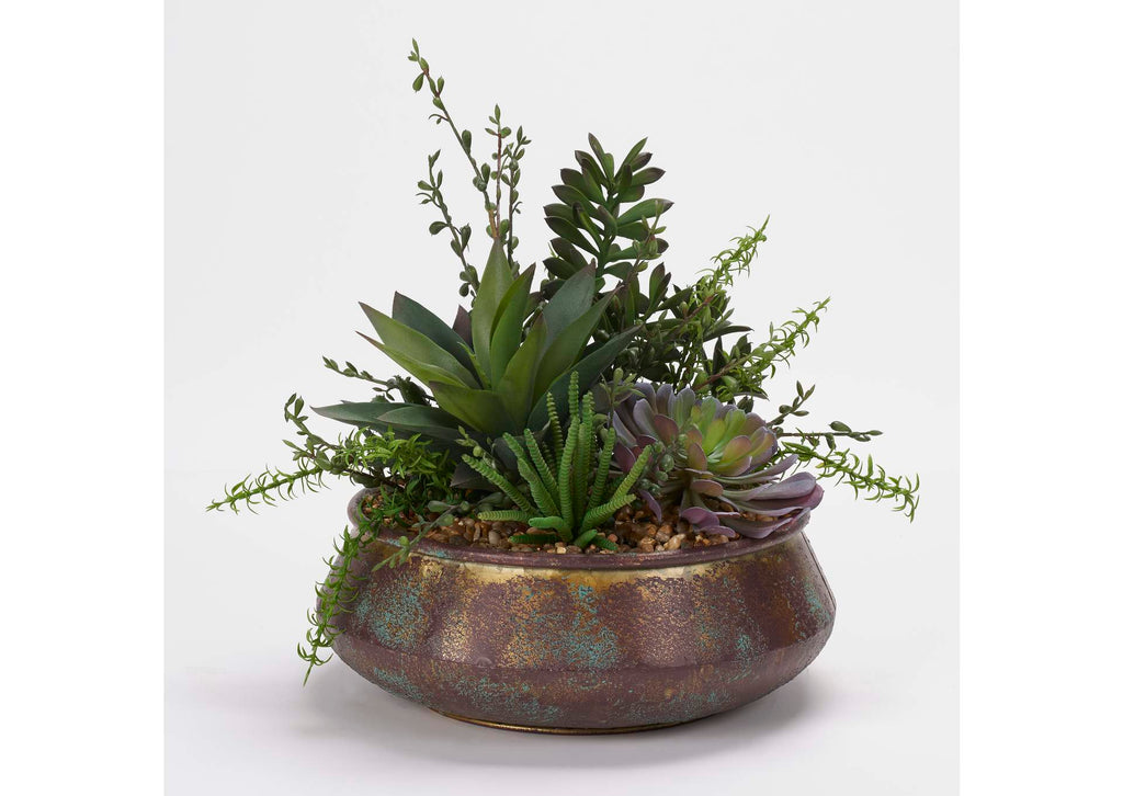 204009 Assorted Succulents,Aloe,and Jade Plant in Aged Copper Bowl