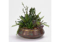 204009 Assorted Succulents,Aloe,and Jade Plant in Aged Copper Bowl