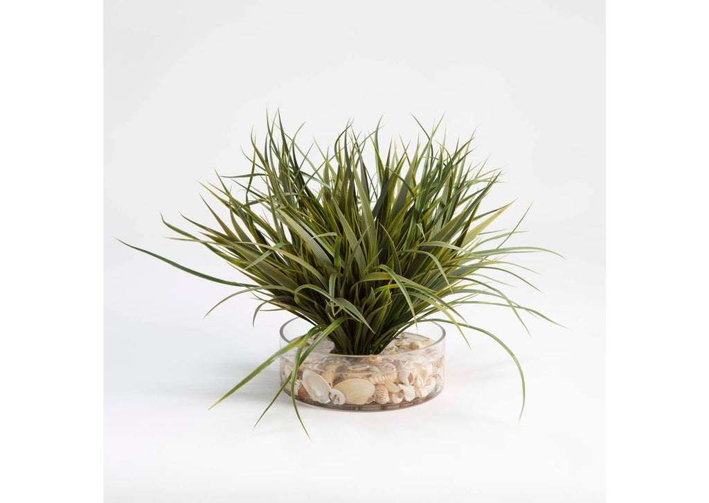 209029 Grass With Seashells in Low Glass Vase