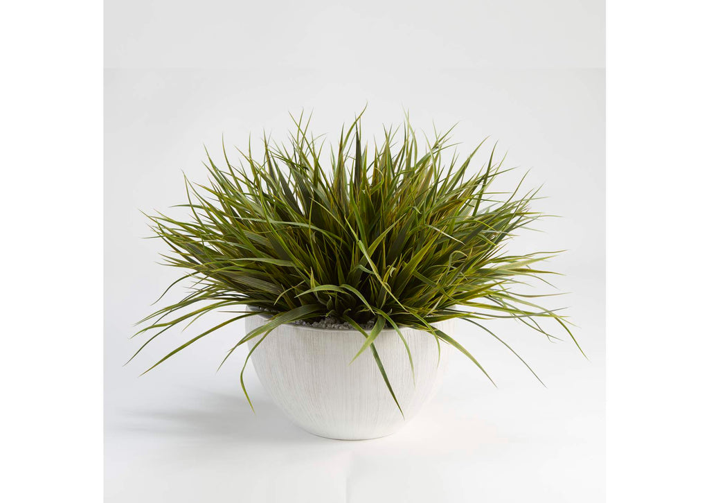 209041 Wild Grass in White Ezra Bowl