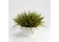 209041 Wild Grass in White Ezra Bowl