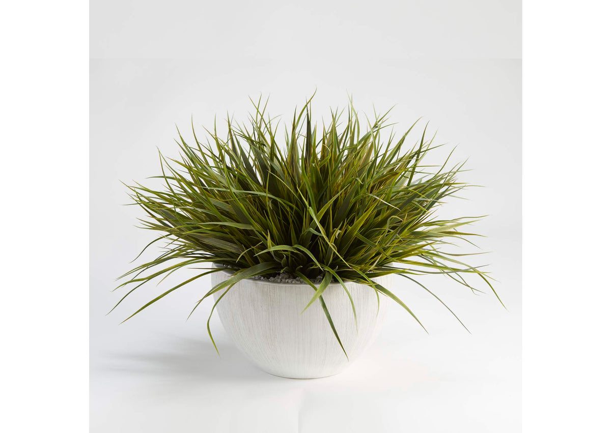 209041 Wild Grass in White Ezra Bowl