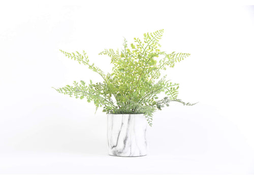 209132 14" Iron Fern in Round Ceramic Marble Planter 12X12X13