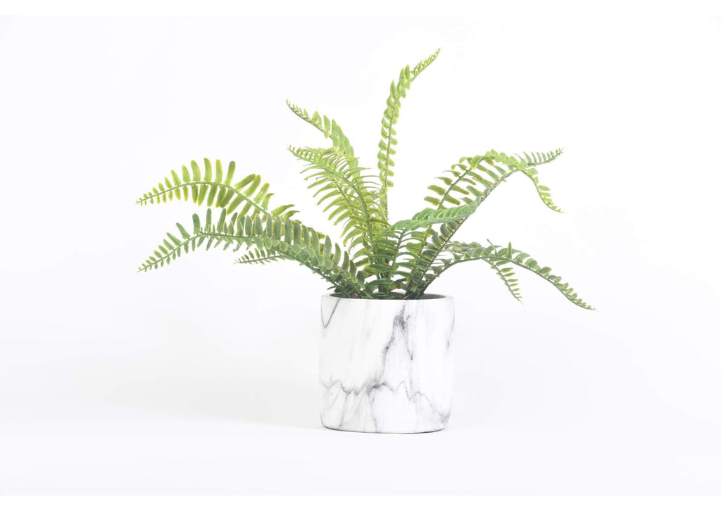 209134 14" Fern Plant With Round Ceramic Marble Pot