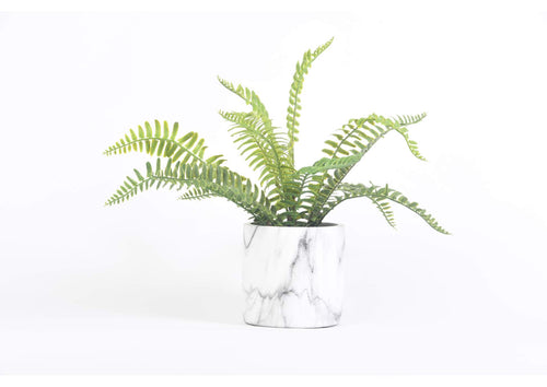 209134 14" Fern Plant With Round Ceramic Marble Pot