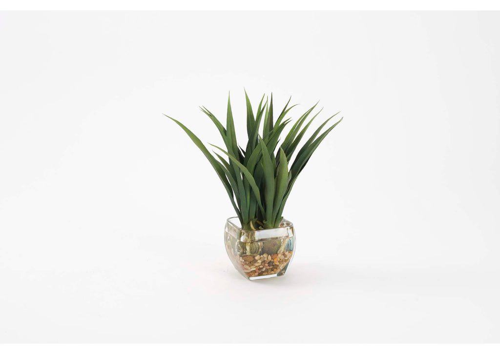 212017 Green Lily Grass in Glass Cube