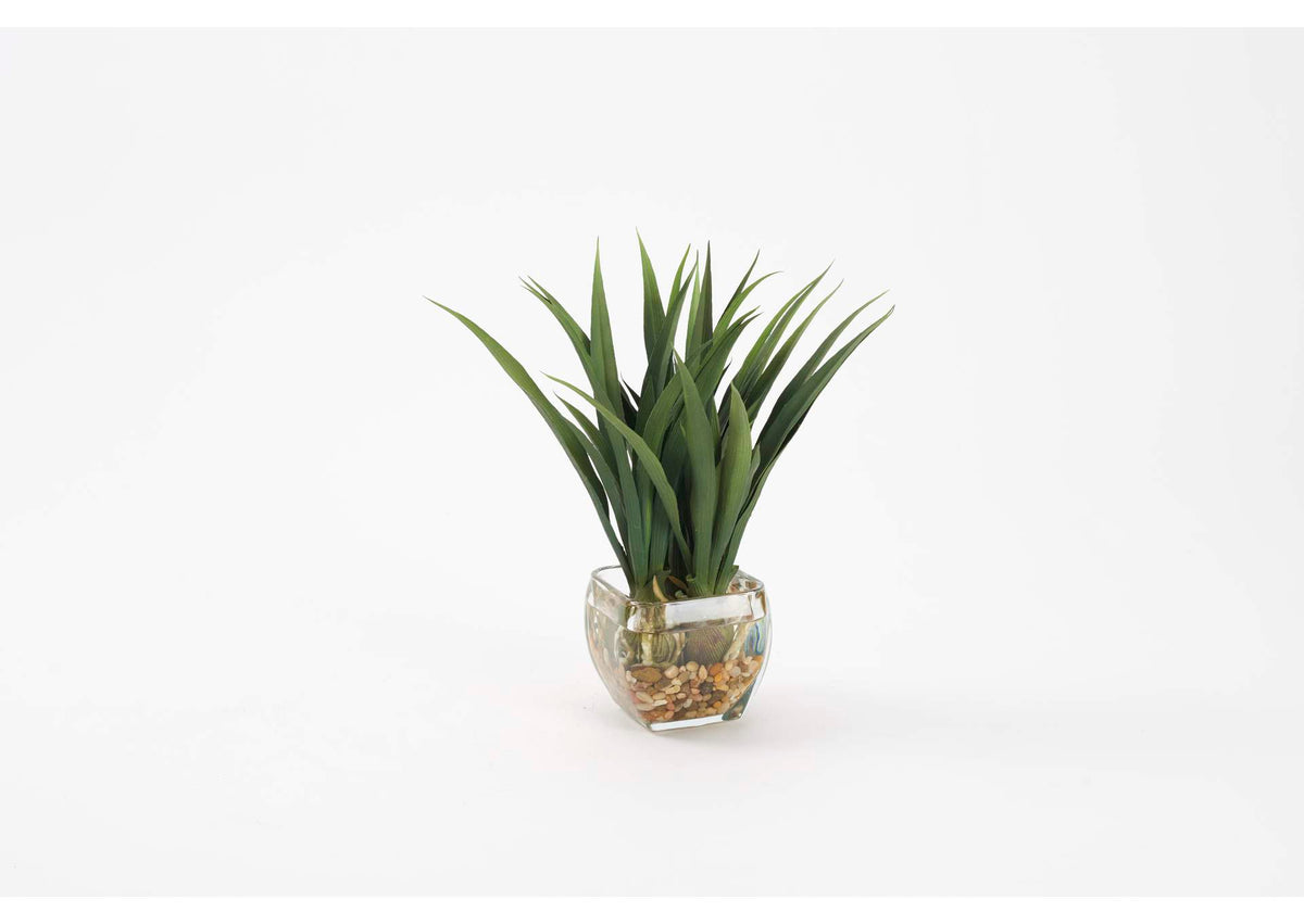 212017 Green Lily Grass in Glass Cube