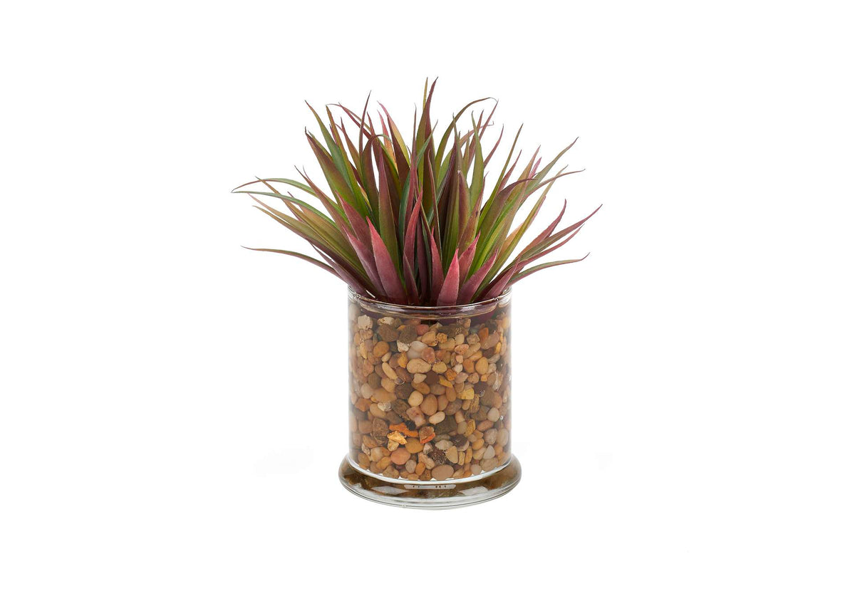 212019 Small Pineapple Succulent in Small Glass Candle Jar