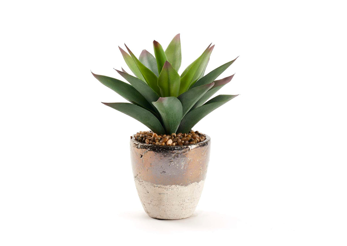 212029 Large Aloe Plant in Rustic Metallic Ceramic Planter