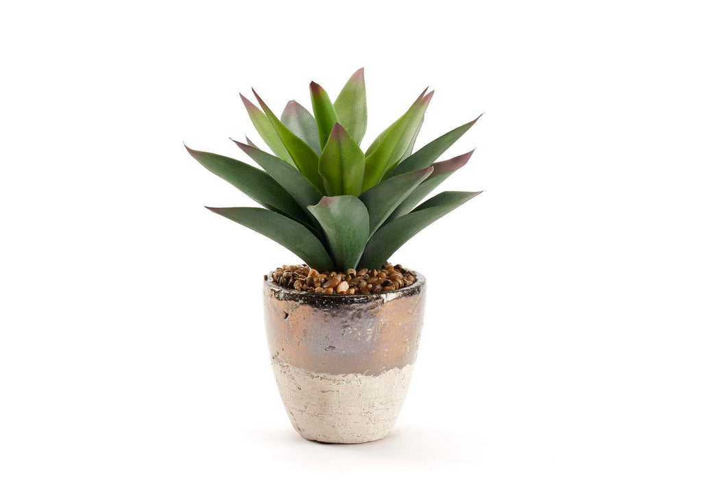 212029 Large Aloe Plant in Rustic Metallic Ceramic Planter