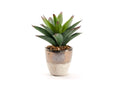 212029 Large Aloe Plant in Rustic Metallic Ceramic Planter