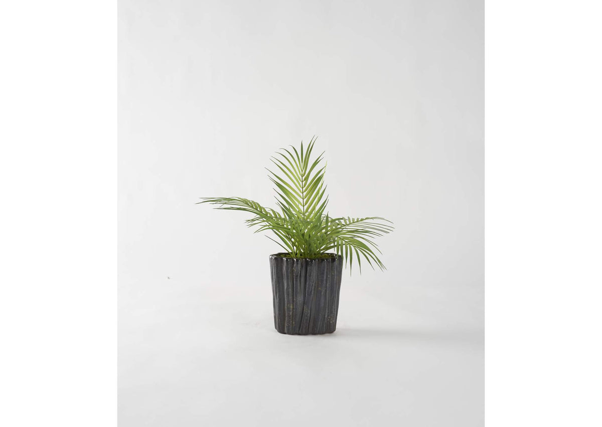 212049 Areca Palm Fronds in Black Oval Ceramic Planter