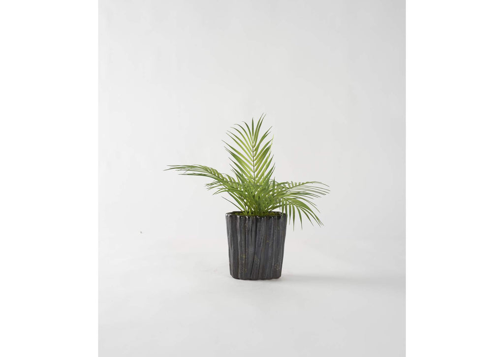 212049 Areca Palm Fronds in Black Oval Ceramic Planter