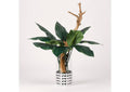 212066 Canna Leaves With Grapevine Root in Glass Cylinder With Silver Band