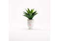 212081 Large Aloe Plant in Ceramic Selfie Planter
