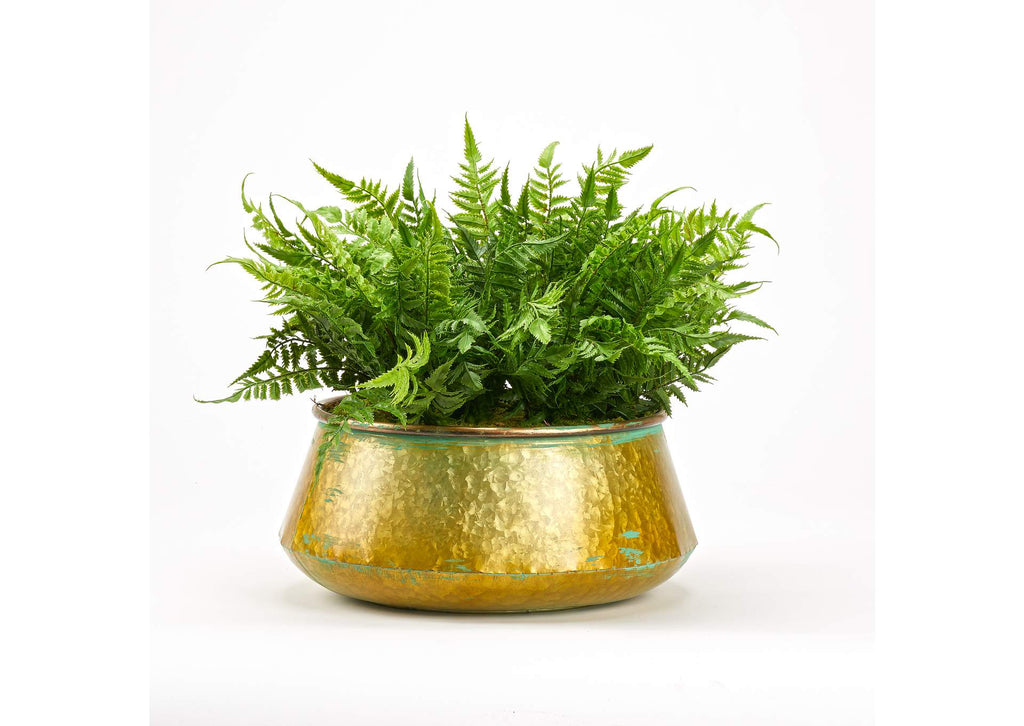 212094 Leather Fern in Round Metal Planter