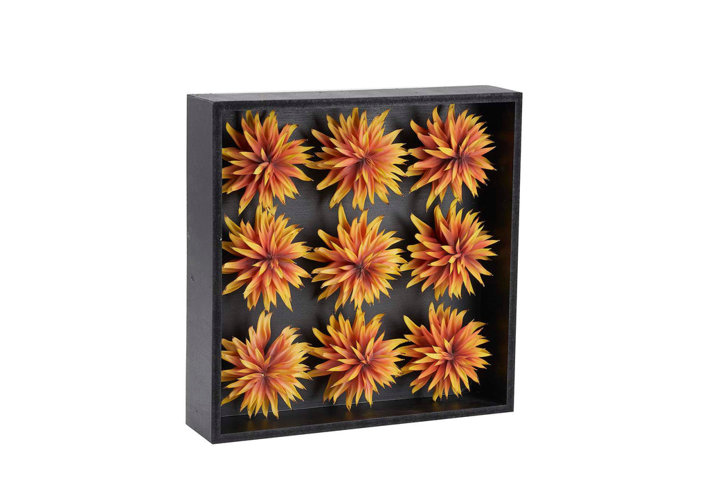 212119 Orange Single Stem Succulent in Black Wood Box