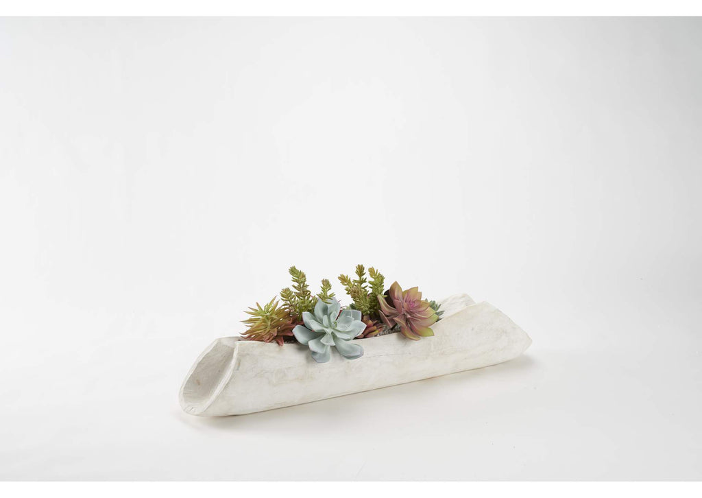 212130 Flocked Agave With Assorted Succulents in White Washed Log