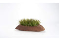 212131 Brown - Green Wild Grass in Dark Brown Log