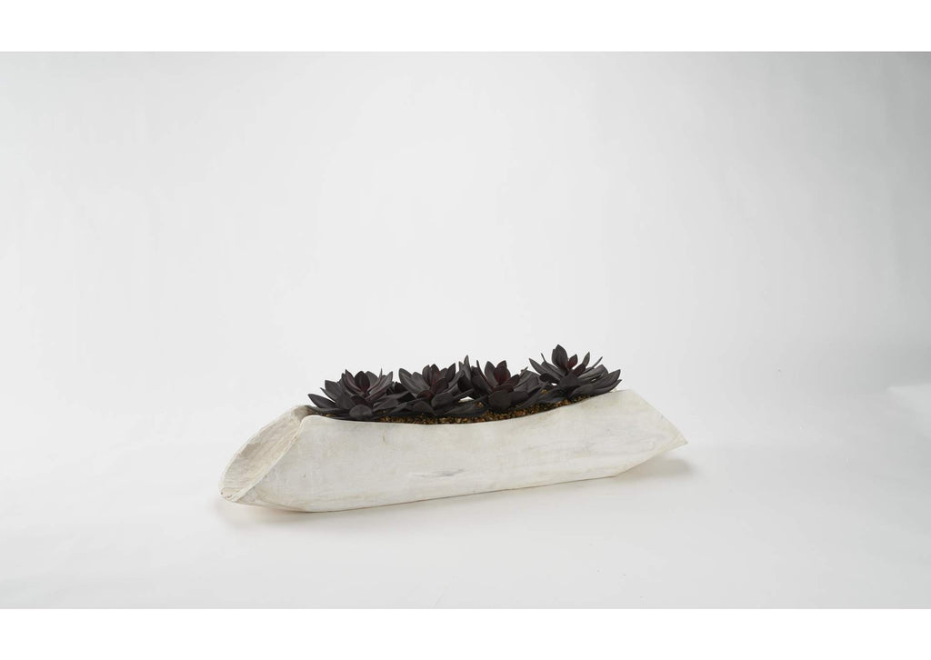 212132 Red Echeveria in Light Tan Log