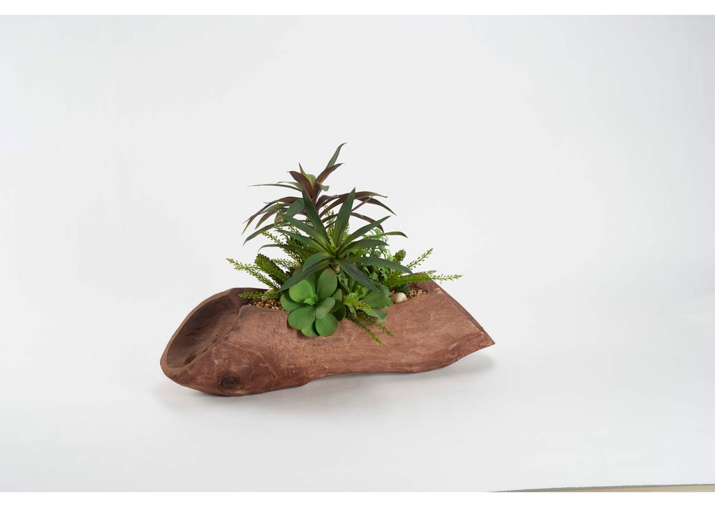 212133 Yucca Heads,Echeveria,Heather Fern and Succulents in Dark Brown Log
