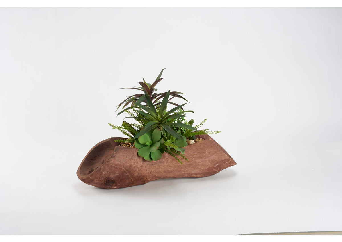 212133 Yucca Heads,Echeveria,Heather Fern and Succulents in Dark Brown Log