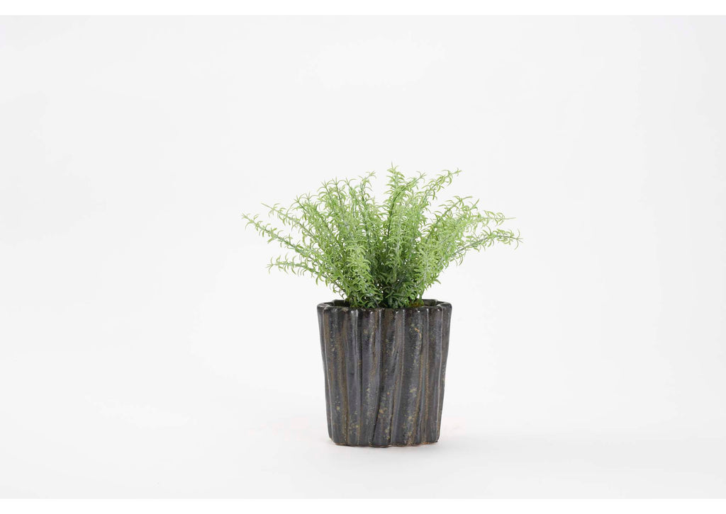 212171 Frosted Sprengeri in Oval Rippled Ceramic Planter